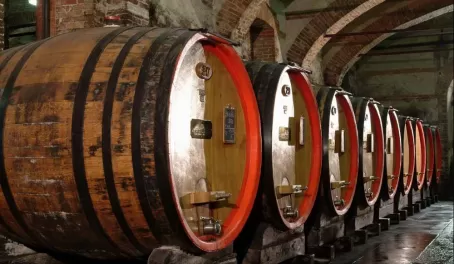 Wine Cellars in Barolo