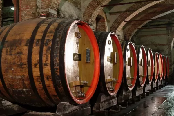 Wine Cellars in Barolo
