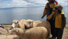 Local shepherds on Taquile Island