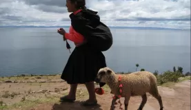 Young girl and her lamb on Taquile Island