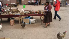 chickens & handicrafts