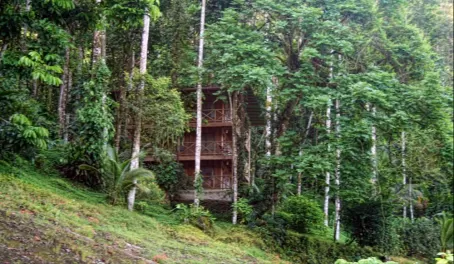 view of the lodge from the Pacuare River