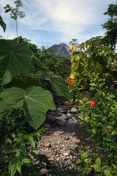 a small creek running through Arenal Manoa