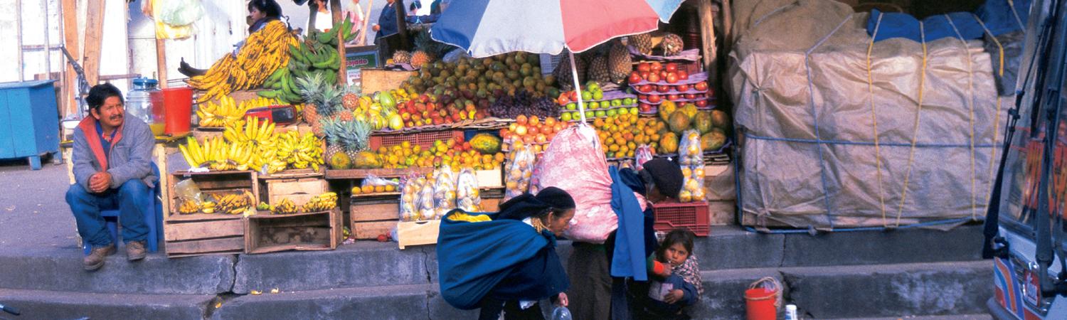 10 Best Ecuador Tours, Trips & Cruises to Galapagos & Amazon for 2022-2023