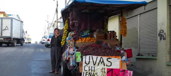 Typical cart selling grapes and other fruit.