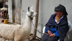 Ecuadorian woman and her llama in Otavalo