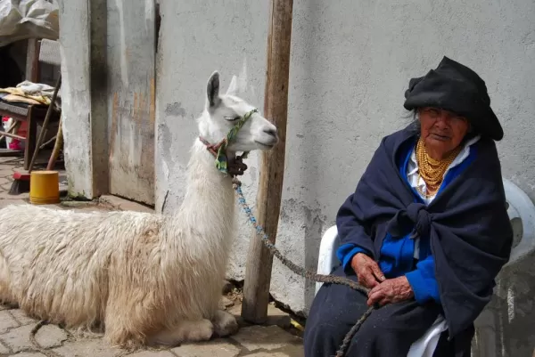 Ecuadorian woman and her llama in Otavalo