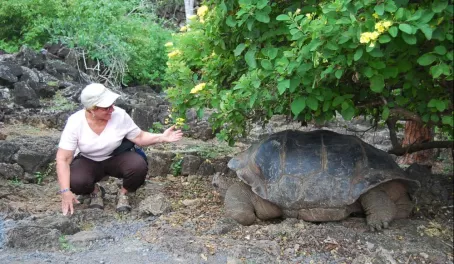 Check out the tortoise whisperer!