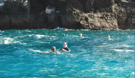 snorkeling at Pt. Comorant in the clear blue waters