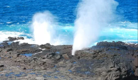 The blowhole, millions of years in the making