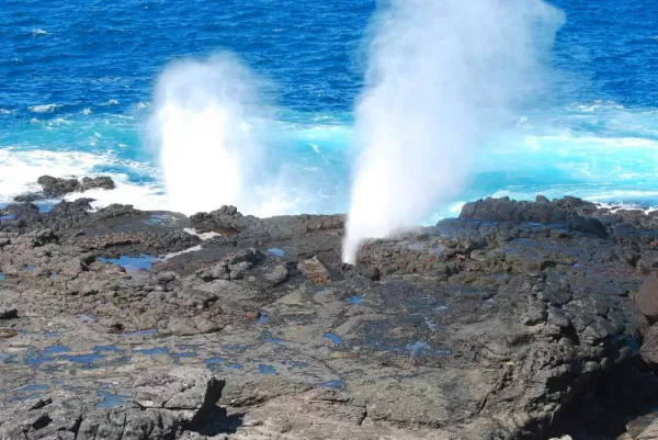 The blowhole, millions of years in the making
