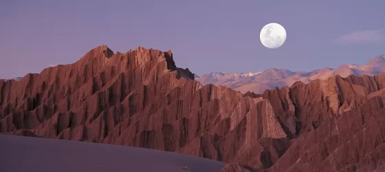 Atacama Moon
