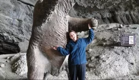 Duh..I thought this was real and just frozen!