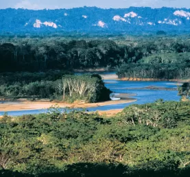 Madidi River, enroute to Chalalan Lodge in Bolivia