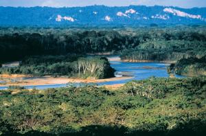 Madidi River, enroute to Chalalan Lodge in Bolivia