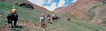 Horseback Riding through the Chilean landscape