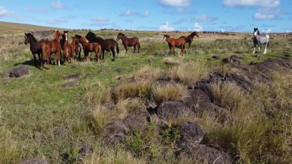 Experience Horseback Ridding in Easter Island