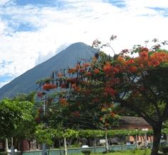 Landscape