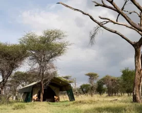 Ndutu Kati Kati Tent