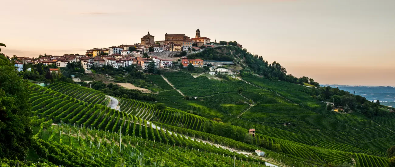 Idyllic vineyards of Alba and La Morra