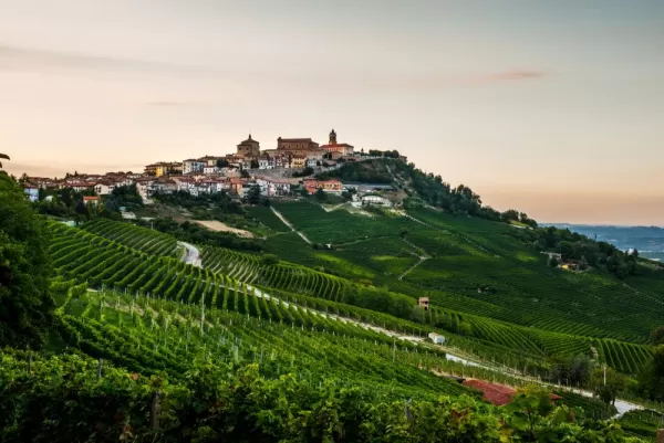 Idyllic vineyards of Alba and La Morra