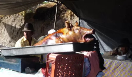Gotta feed them - Otavalo Animal Market