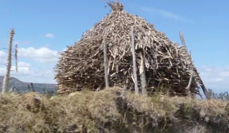 Gathering Firewood - Otavalo trip