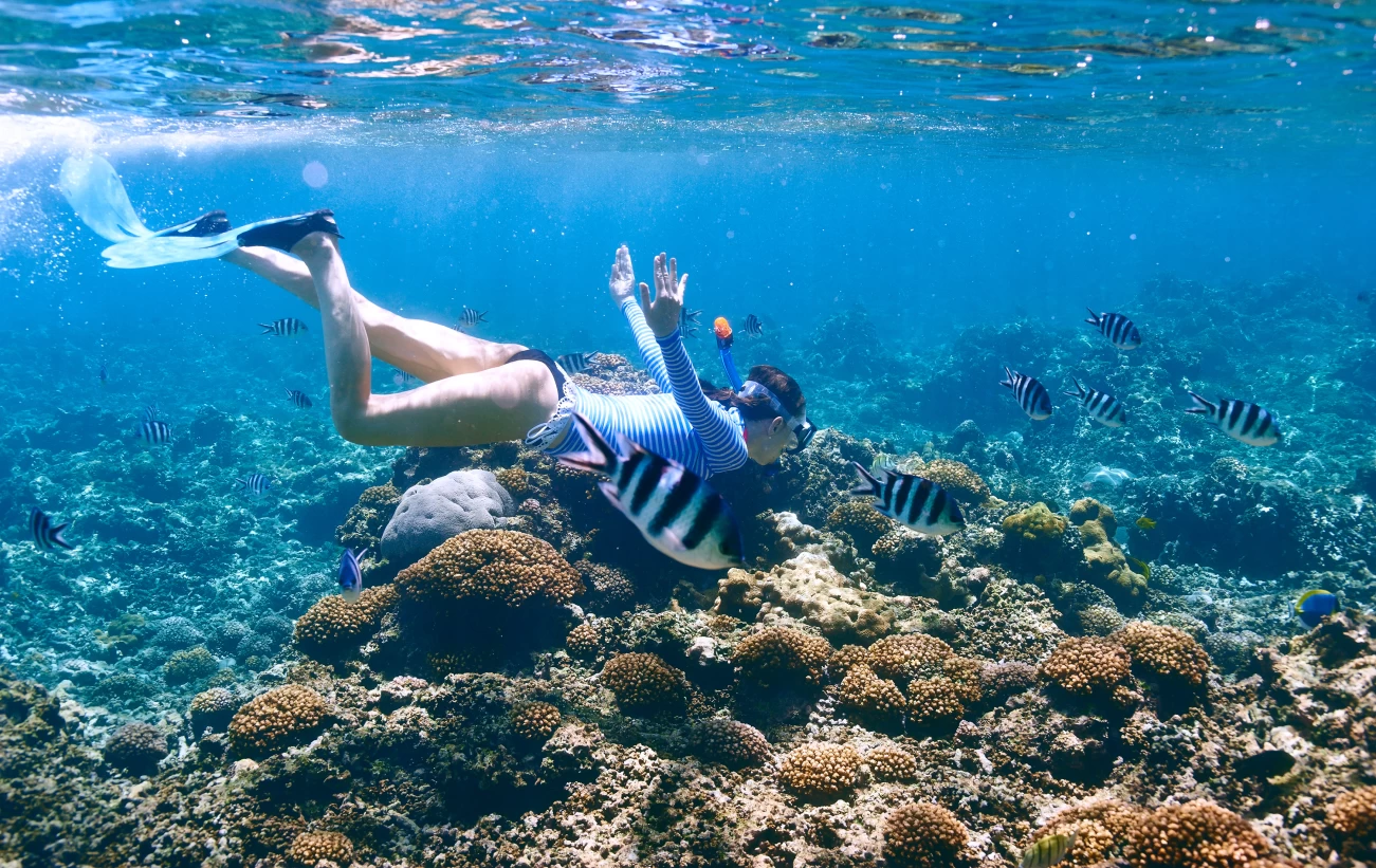 Snorkeling in crystal clear waters of Africa