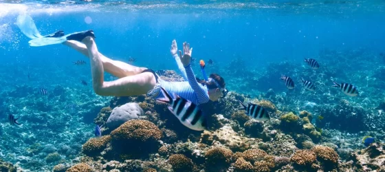 Snorkeling in crystal clear waters of Africa