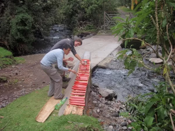 Service Project in Cotopaxi during Ecuador tour