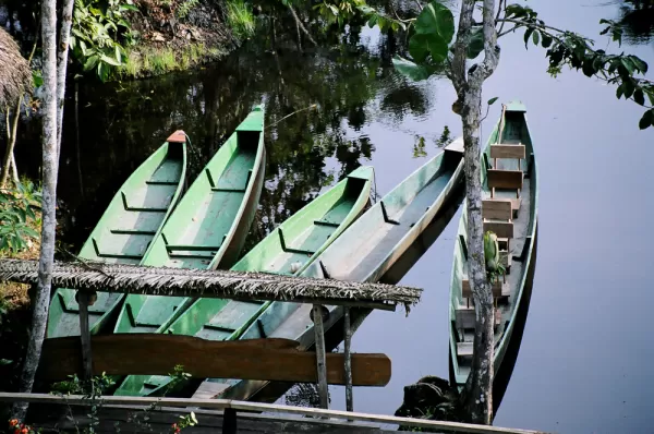 Dugout canoes found in the Amazon during an Ecuador trip