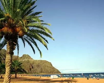 Enjoy the subtropical Canary Islands