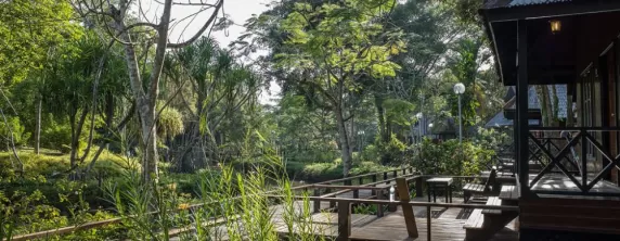 Nature Surroundings of Sepilok Resort