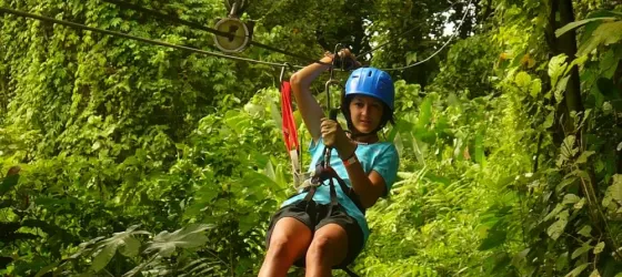 Zipline!