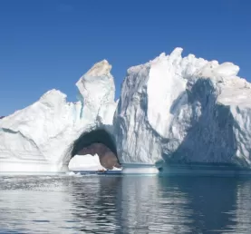 Icebergs in Greenland