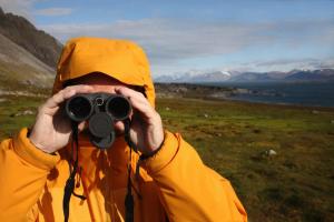 Wildlife viewing on an Arctic tour