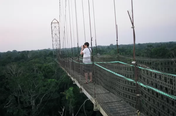 Trip on a canopy walkway over the Amazon jungle in Ecuador