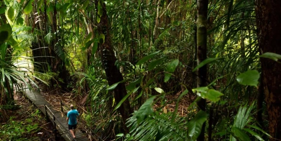 Exploring the dense jungle of Bako National Park