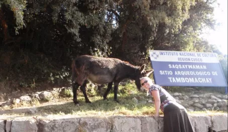 Kassi befriends a donkey