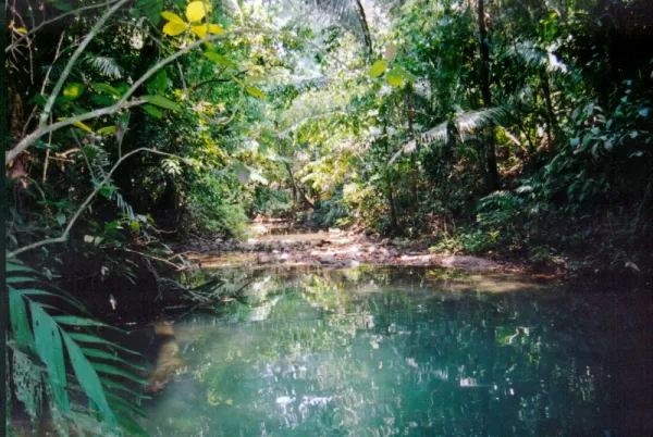 Remote jungle tour of Belize