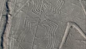 Spider, Nazca Lines