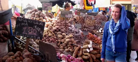 The Market, Arequipa