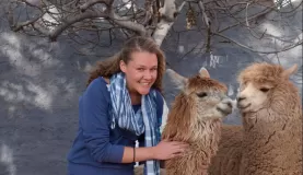 Alpaca Outlet, Arequipa