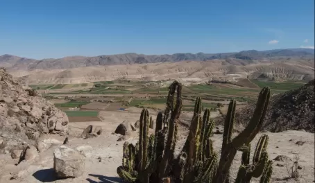 Arid Landscape, Arequipa