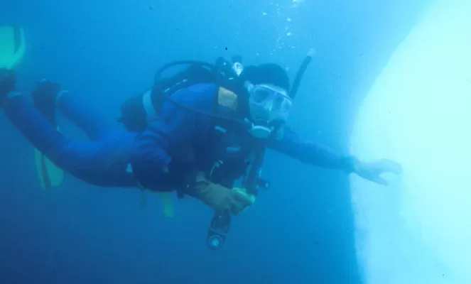 Diving the arctic waters