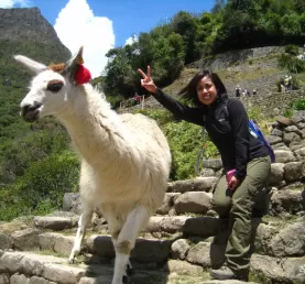 With a llama at Machu Picchu