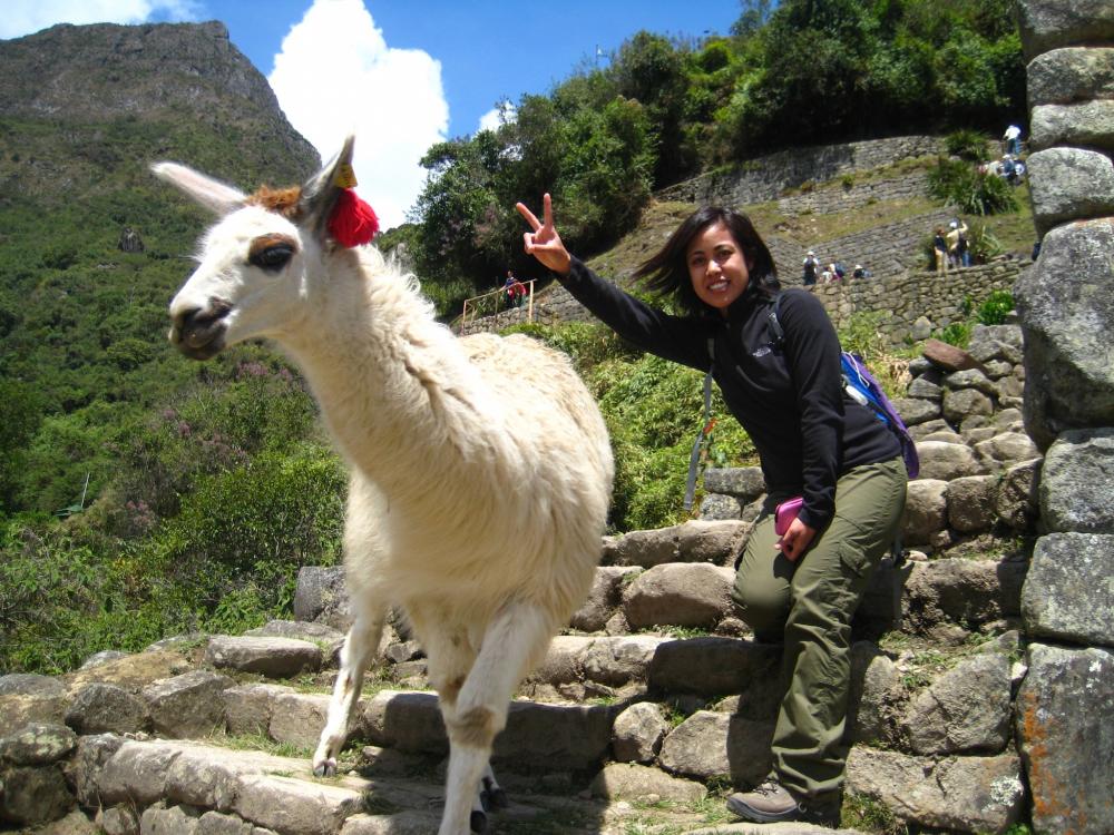 Peru Animals and Wildlife