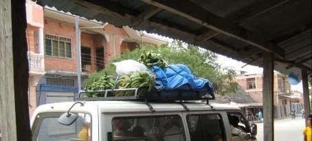 bananas on a van in Rurrenabaque