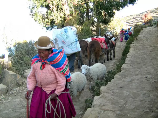 A local woman and livestock in Isla del Sol