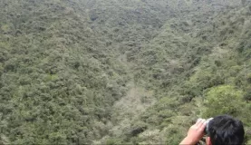 Trying to look for condors